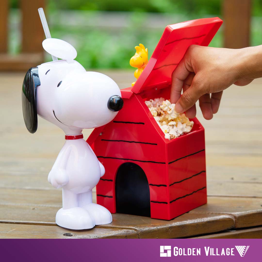 snoopy dog house toy