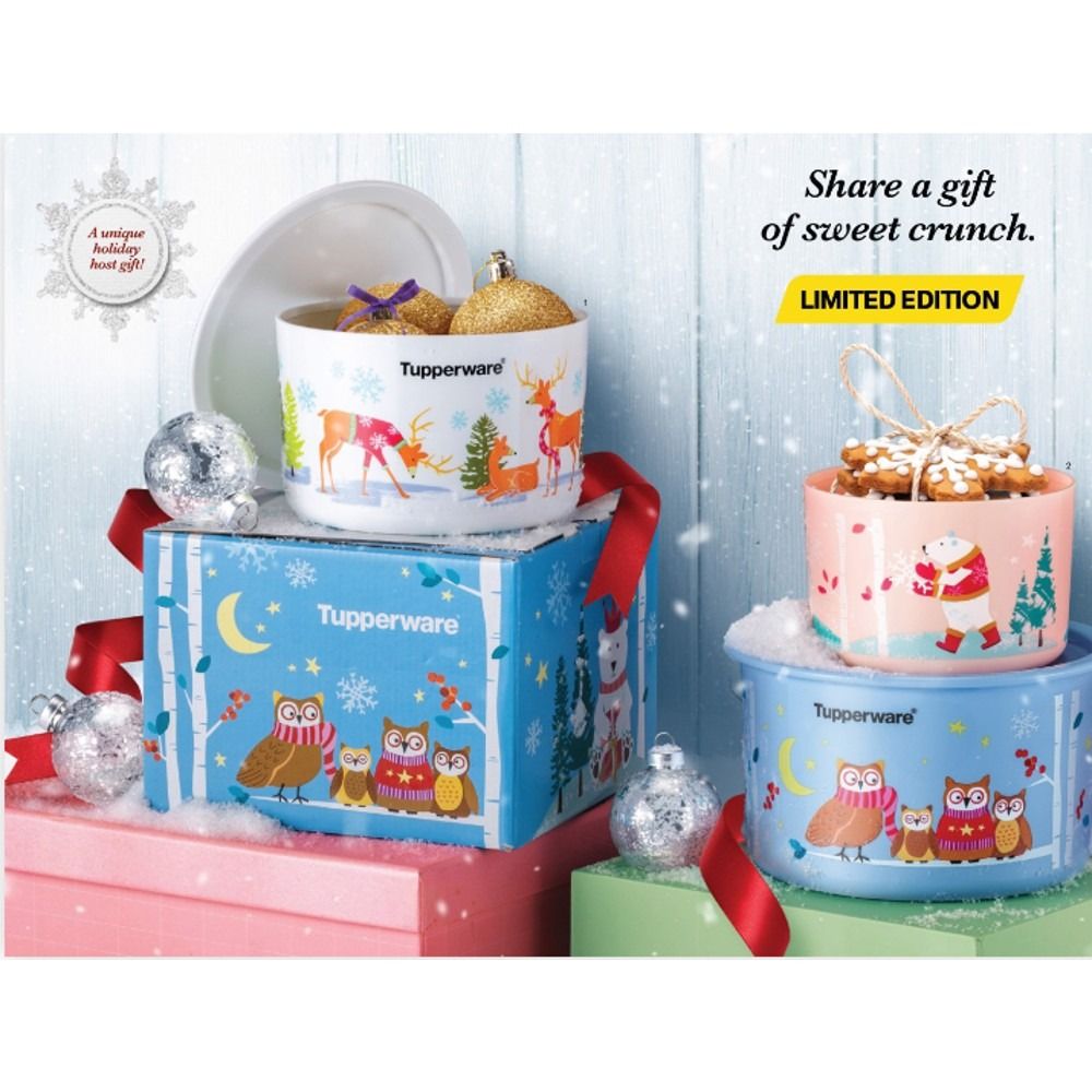 Tupperware Winter Wonders Collection Set Christmas 2022