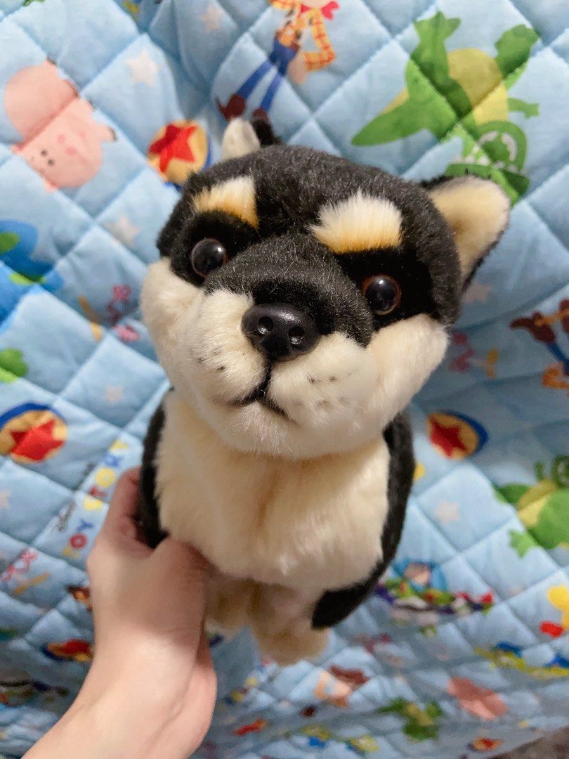 出面賣$28x）現貨高度仿真黑柴犬公仔狗公仔31x24cm +錢轉柴犬畢業公仔black shiba plush toy doll, 兒童＆孕婦用品,  嬰兒玩具- Carousell