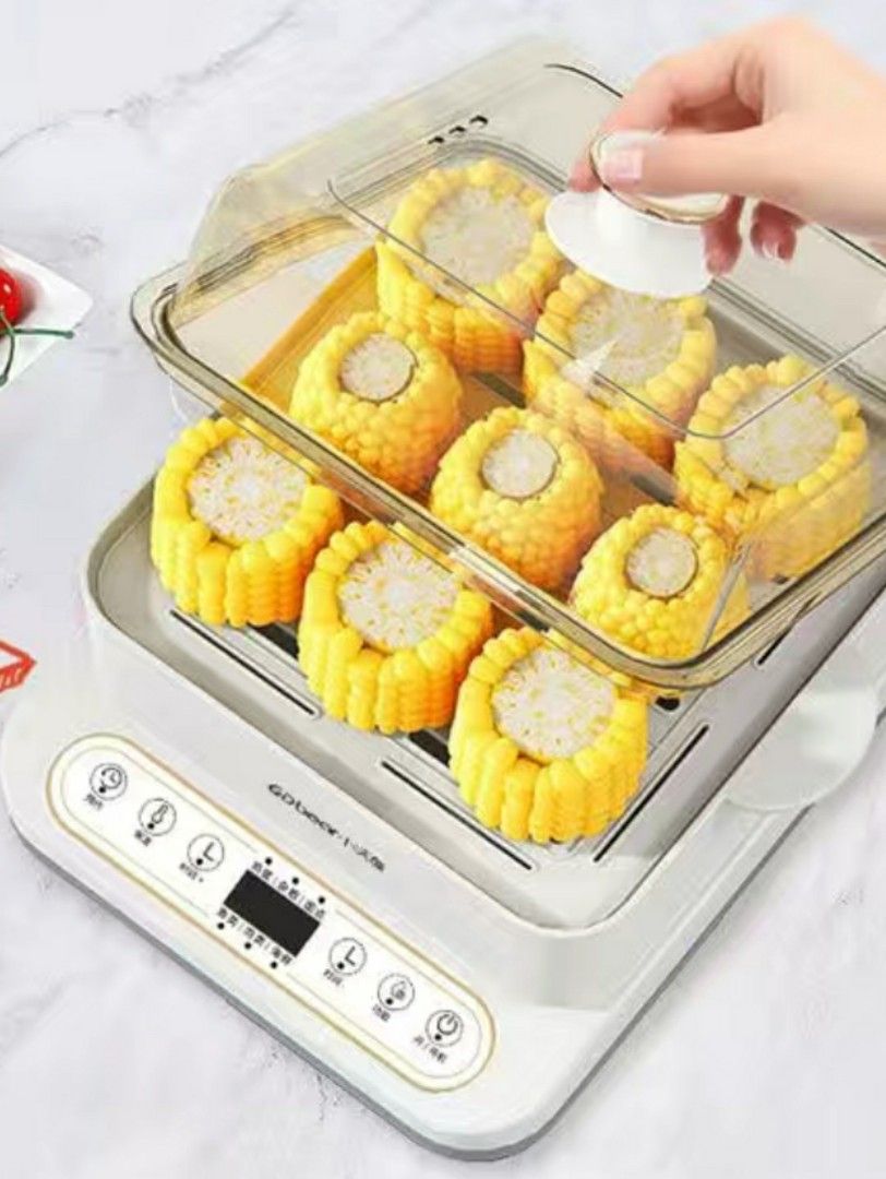 2tier electric food steamer, TV & Home Appliances, Kitchen Appliances