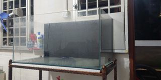 (Category: ) located in . Submitted by justglen (Listing ID 1206469671, Image 1). Description: .