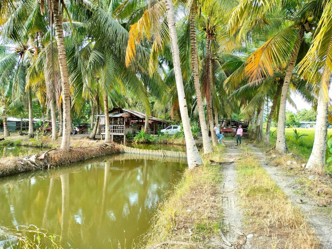 500 sqm lot ideal for mini farm in Gensan, Property, For Sale, Lot on