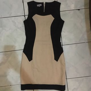 Bodycon Dress Zara look alike