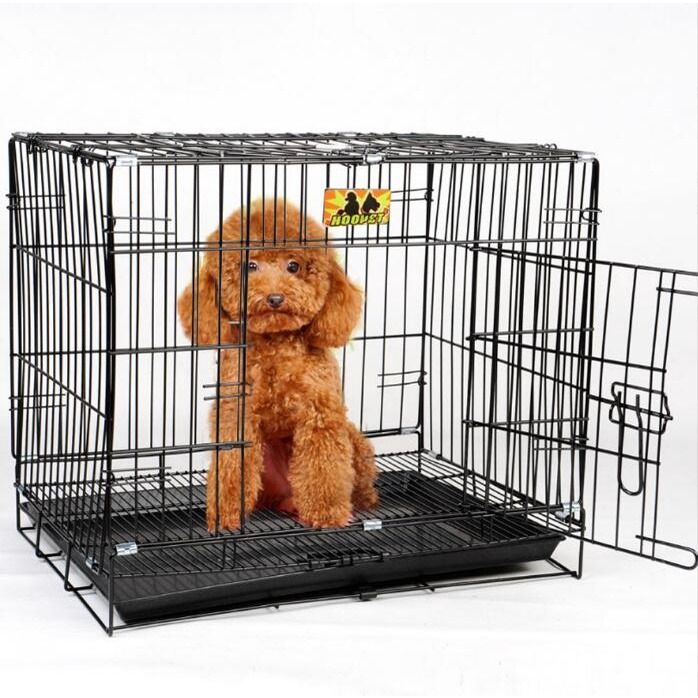 Collapsible dog 2025 fence