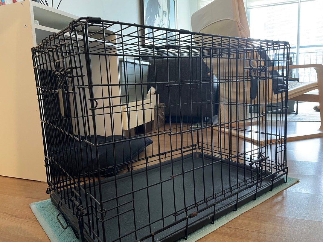 how do you deodorize a dog crate