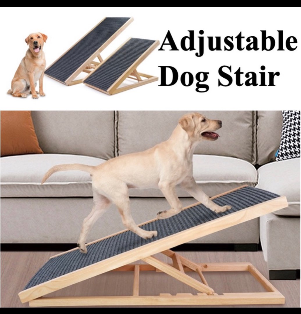 Dog stair, Pet Supplies, Homes & Other Pet Accessories on Carousell