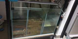 (Category: ) located in . Submitted by cheeseburger77 (Listing ID 1206451009, Image 1). Description: .
