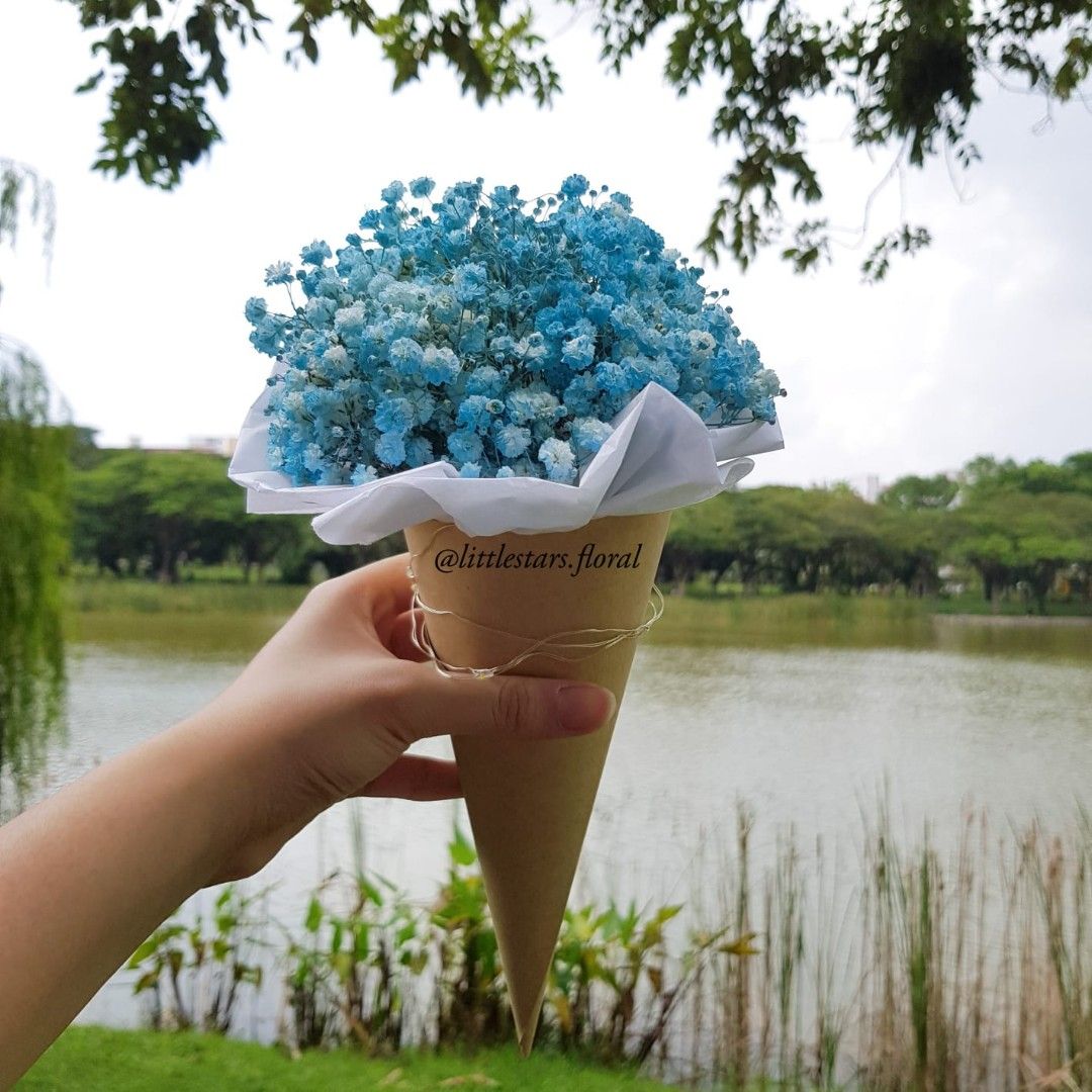 Fresh Baby Breath Bouquet Magic Cone Flowers Ice=cream Cone Fresh