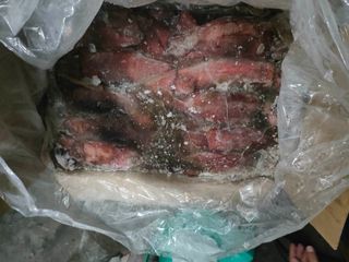 Fresh Frozen