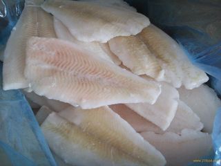 Fresh Frozen