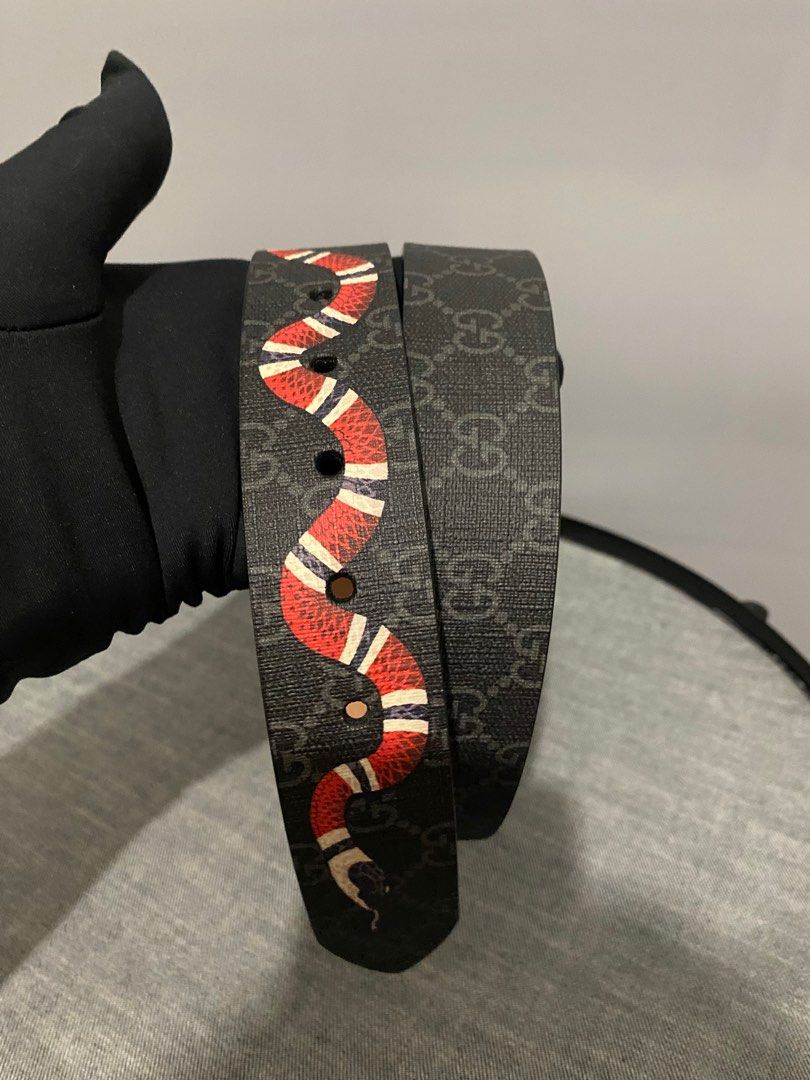 Gg belt with kingsnake print discount