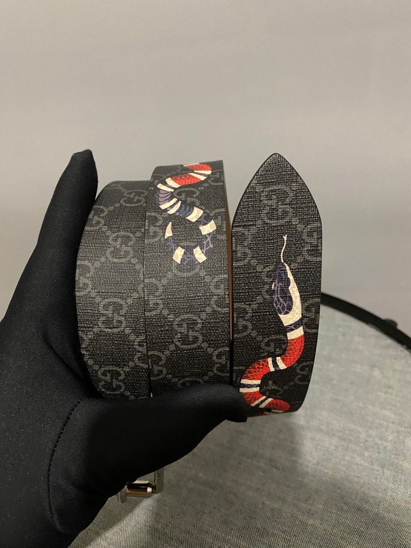 Gucci hotsell belt kingsnake