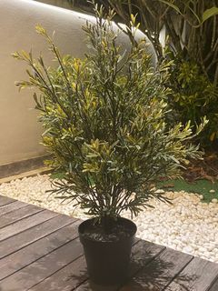 Ikea Artificial Plant