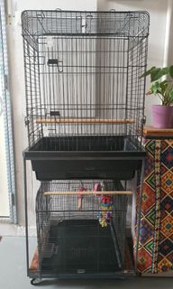 (Category: ) located in . Submitted by jc.amber (Listing ID 1206377141, Image 1). Description: .