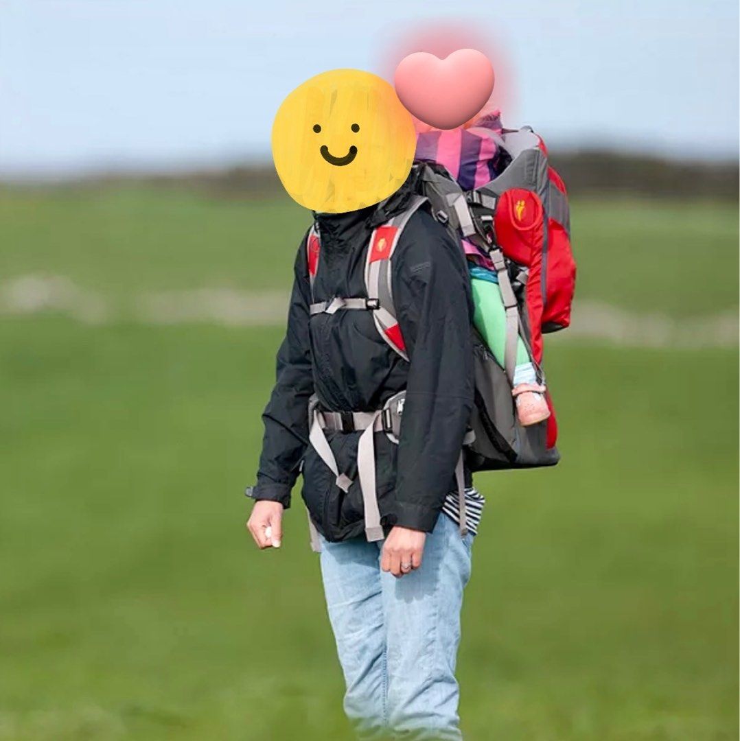 Littlelife voyager s2 child carrier hotsell
