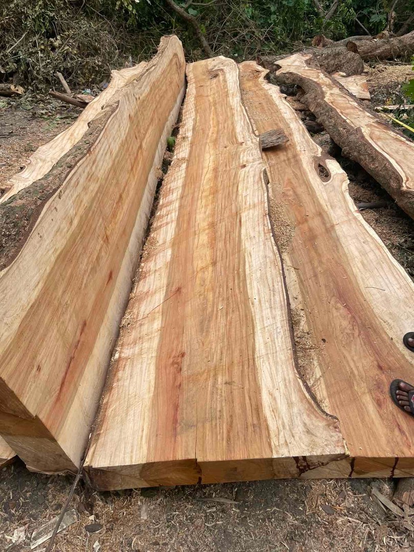 Narra wood slabs, Commercial & Industrial, Construction Tools