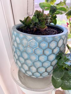Plants (including flowerpots)$25