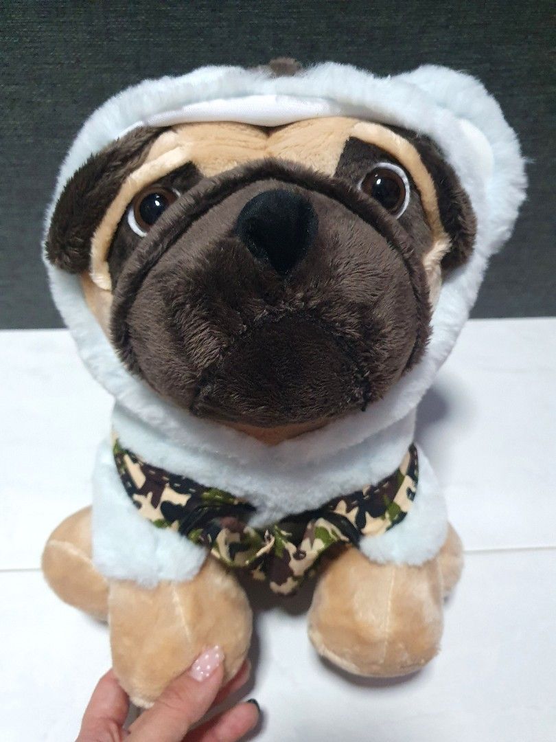 Doug the pug hoodie online