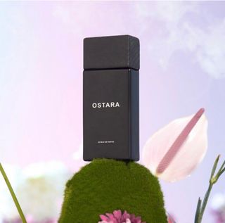 (Kategori: ) berada di . Dikirim oleh declutterdpk (ID iklan 1206479720, Gambar 1). Deskripsi: .