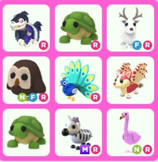 (Category: ) located in . Submitted by blosoms (Listing ID 1206425346, Image 1). Description: .