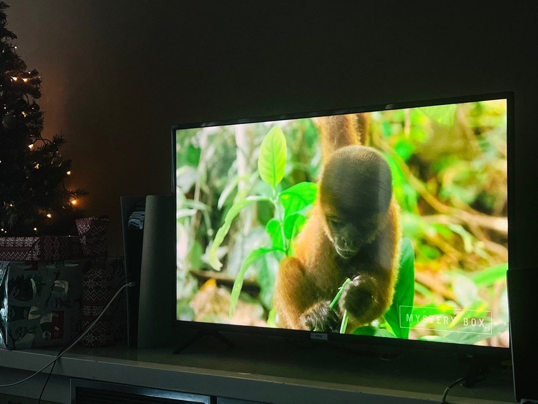 TCL full hd 43 inch, TV & Home Appliances, TV & Entertainment, TV on ...