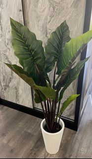 Artificial plants