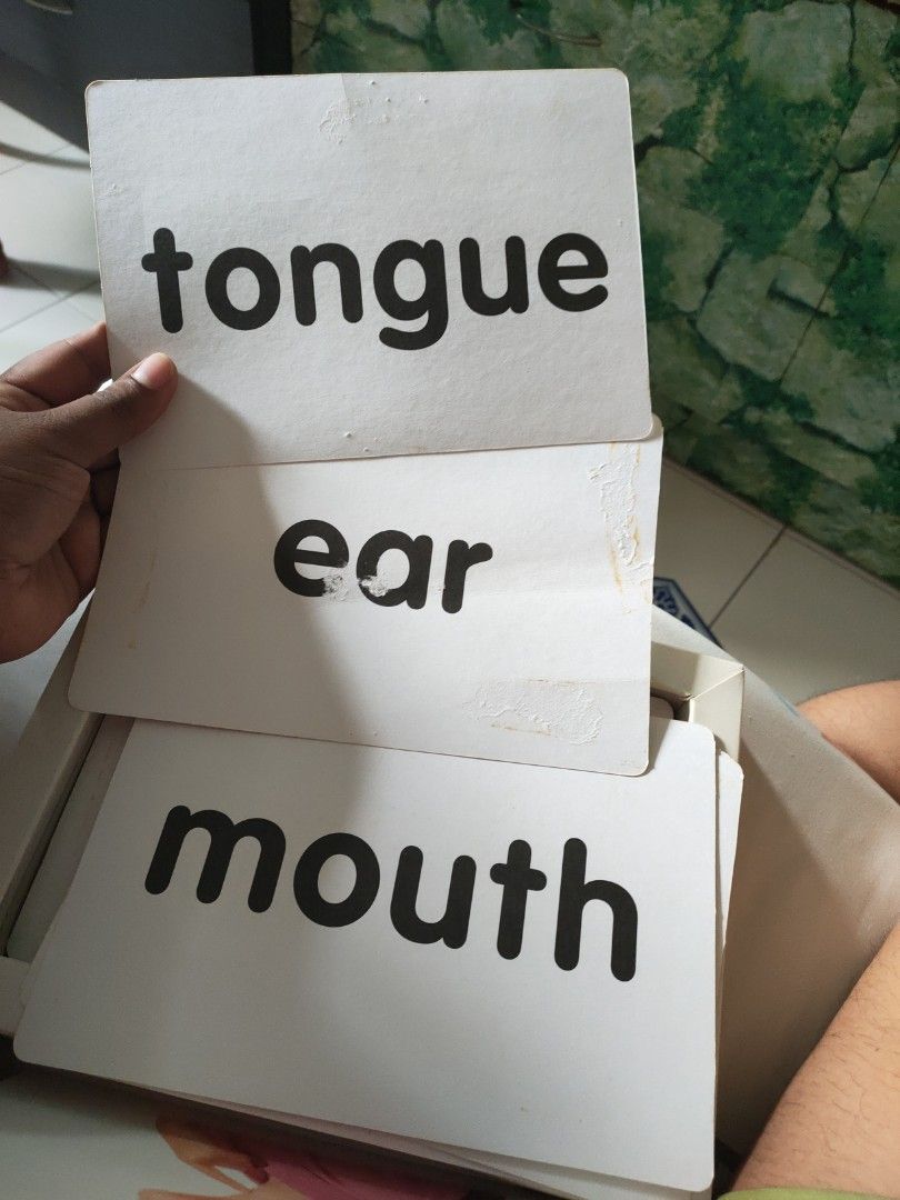 Big flashcards, Hobbies & Toys, Toys & Games on Carousell