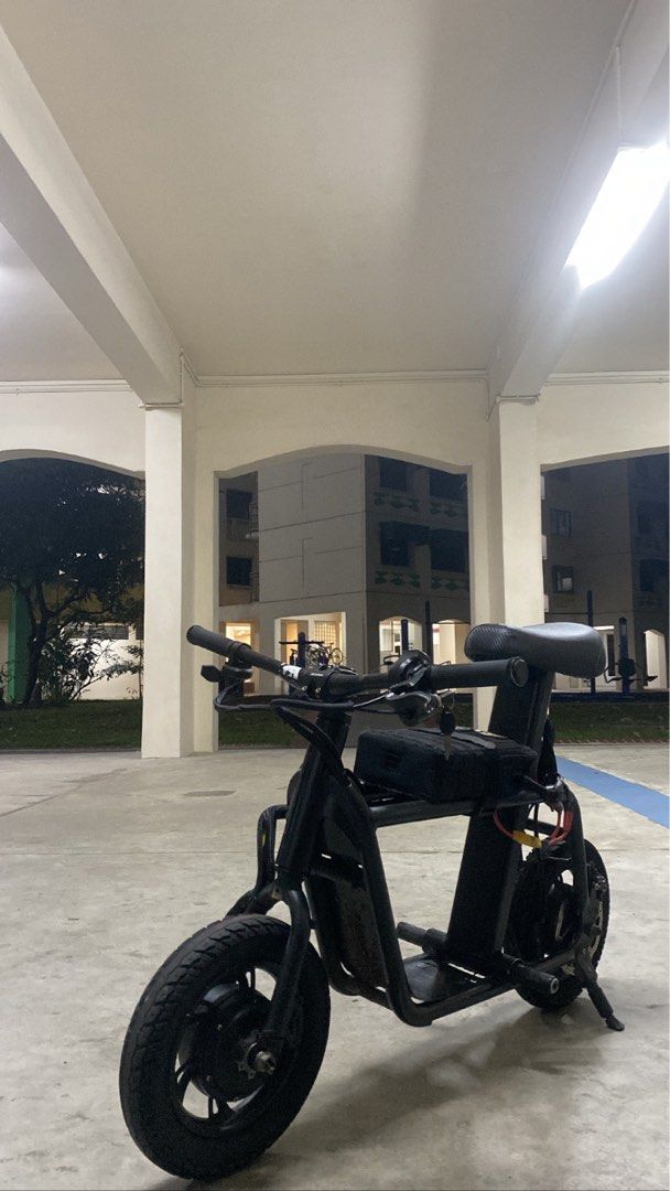 dualmotor fiido setup, Sports Equipment, PMDs, EScooters & EBikes, E