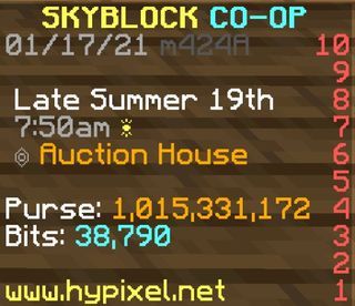 Hypixel Skyblock LEGIT coins