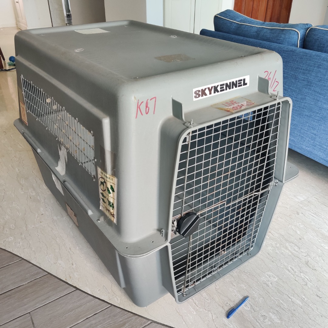 IATA compliant Pet Travel Crate Giant size Pet Supplies Homes