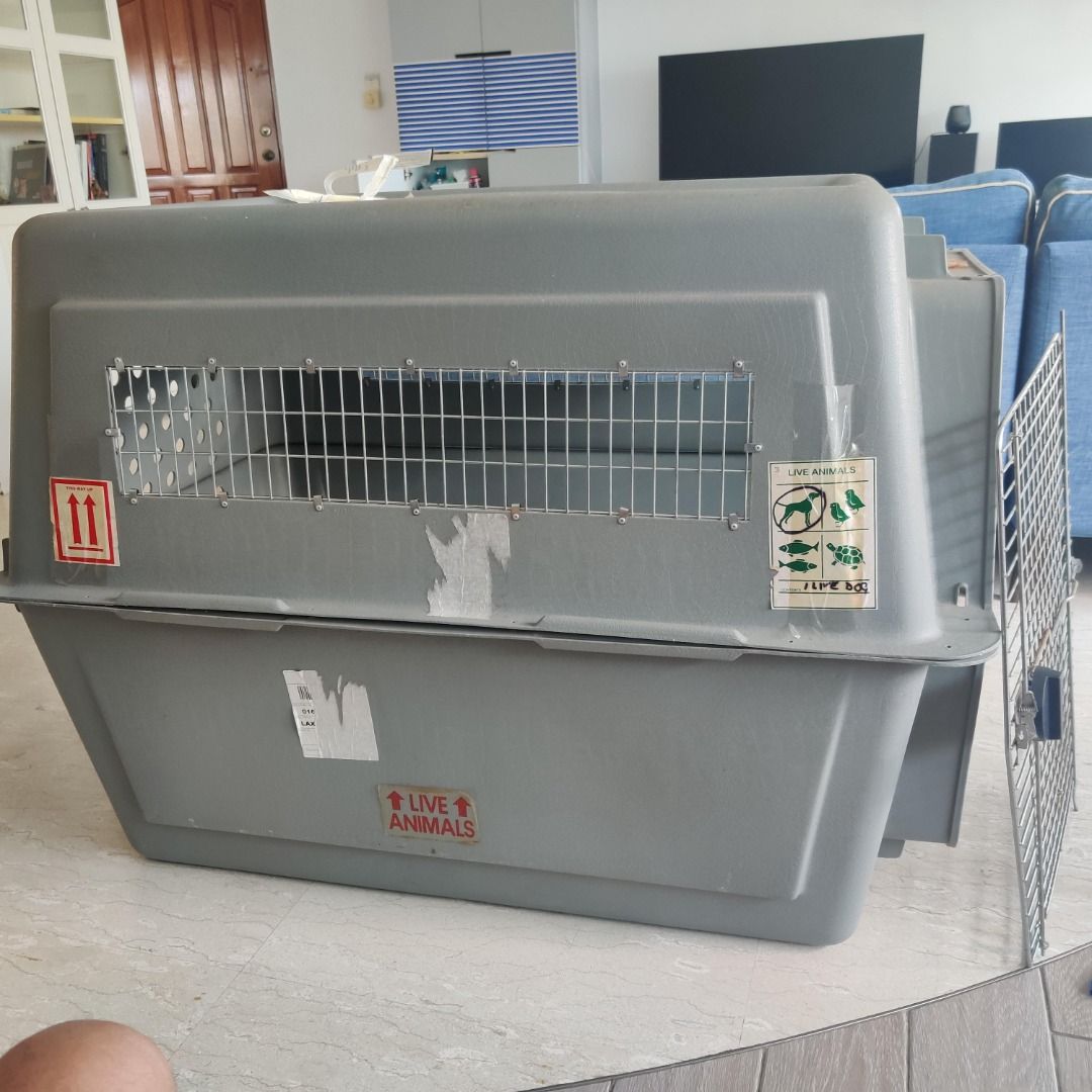 Pet Travel Crate Giant size, Pet Supplies, Homes