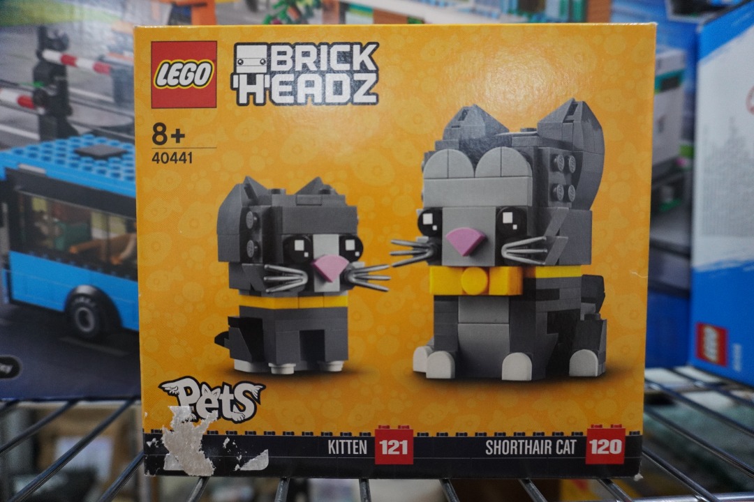 Lego shorthair cats new arrivals