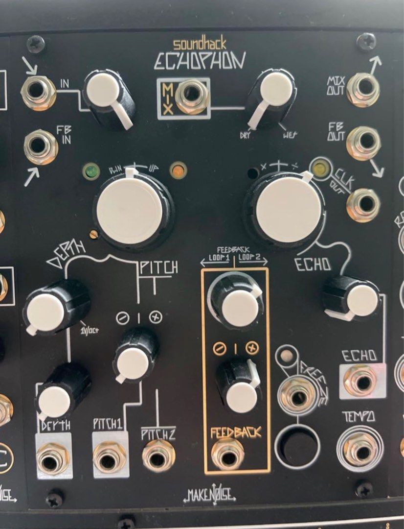 LF Make Noise Echophon, Bulletin Board, Looking For on Carousell