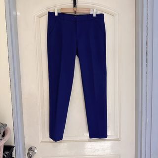 Mango寶藍色西裝褲休閒褲 size: 36
