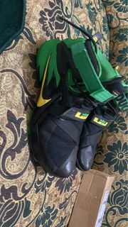 Nike lebron soldier 9 ducks