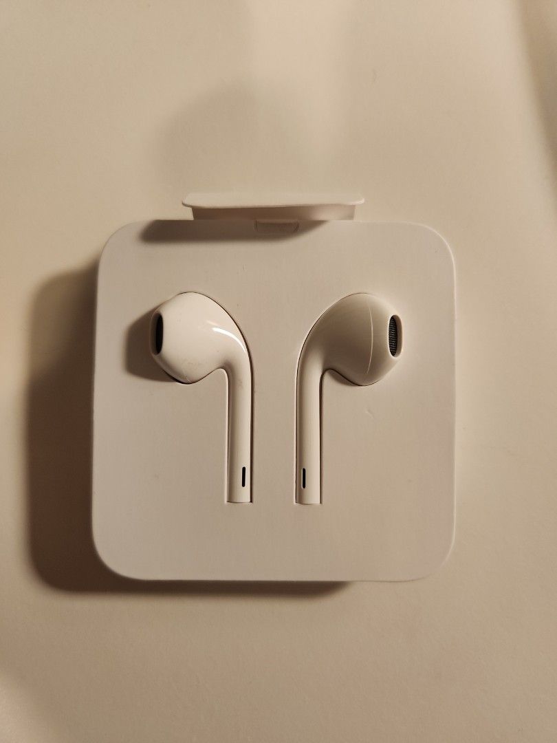 Original Apple wired earbuds (lightning), Audio, Earphones on Carousell