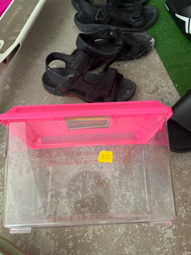 Pet aquarium, Pet Supplies, Homes & Other Pet Accessories on Carousell