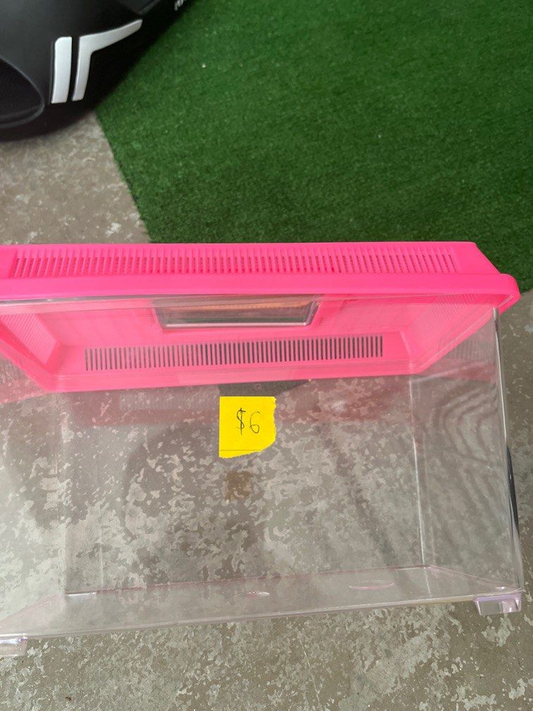 Pet aquarium, Pet Supplies, Homes & Other Pet Accessories on Carousell