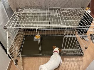 （分類：）位於 。 由 lew90 提交（商品編號 1206687671，圖片 1）。簡介： 。