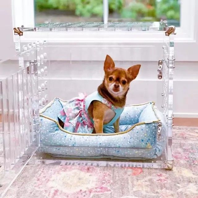 Clear dog crate sales