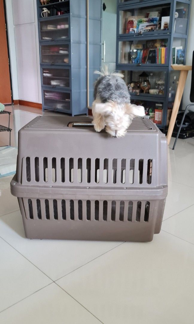 Olx kennel shop
