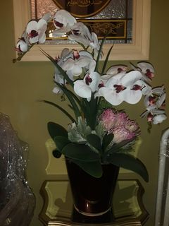 PREMIUM ORCHIDS WITH CERAMIC POT