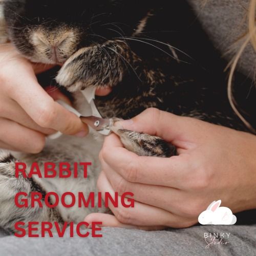 Mobile rabbit grooming near me online