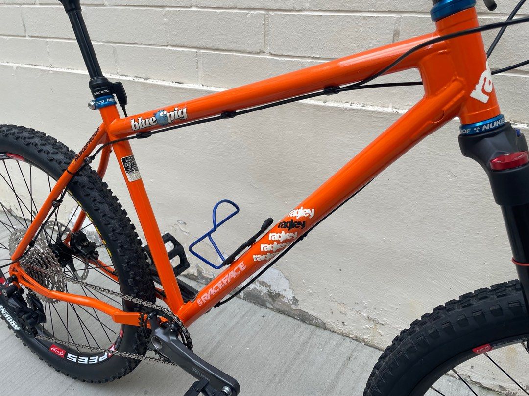Ragley blue 2025 pig 26