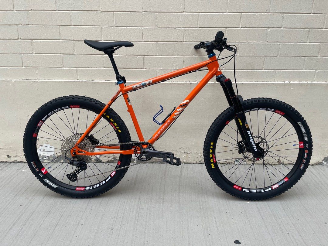 Blue pig mountain 2025 bike