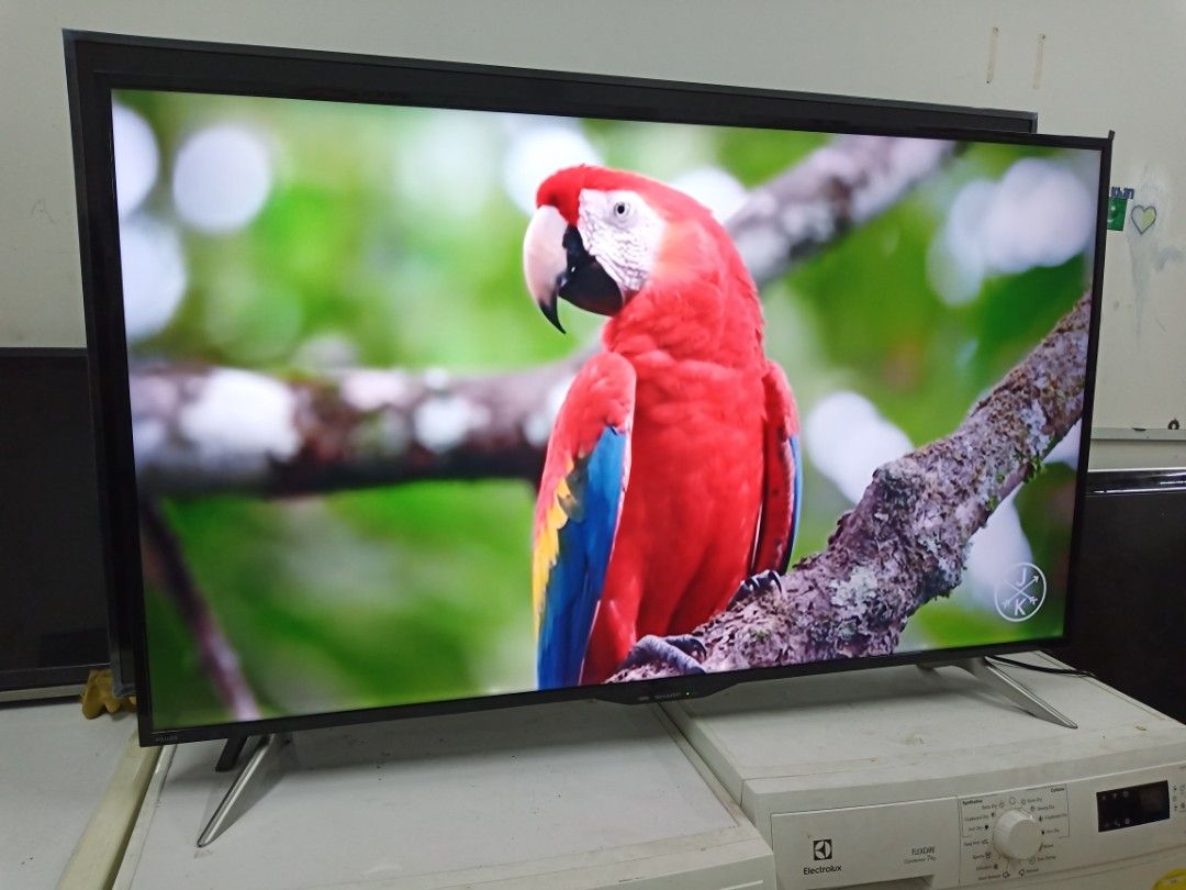 SHARP AQUOS 50 Inch 4K UHD Smart Tv, TV & Home Appliances, TV