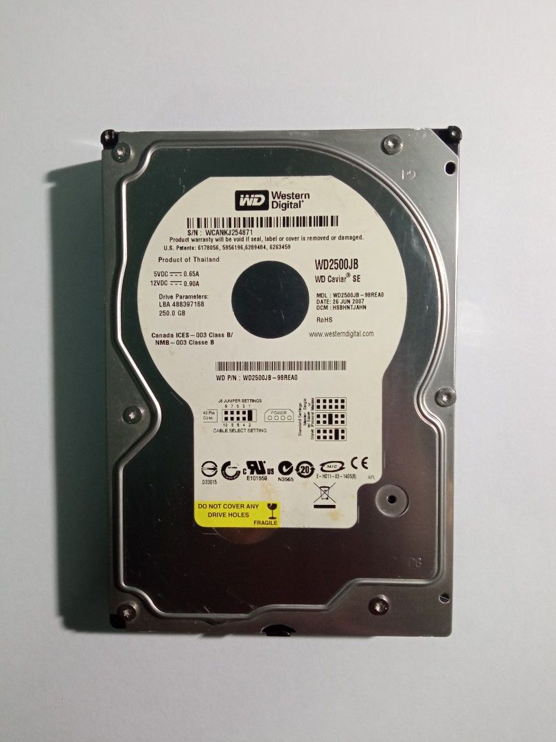 250 GB Western Digital IDE Harddisk Hard Drive hdd Computers