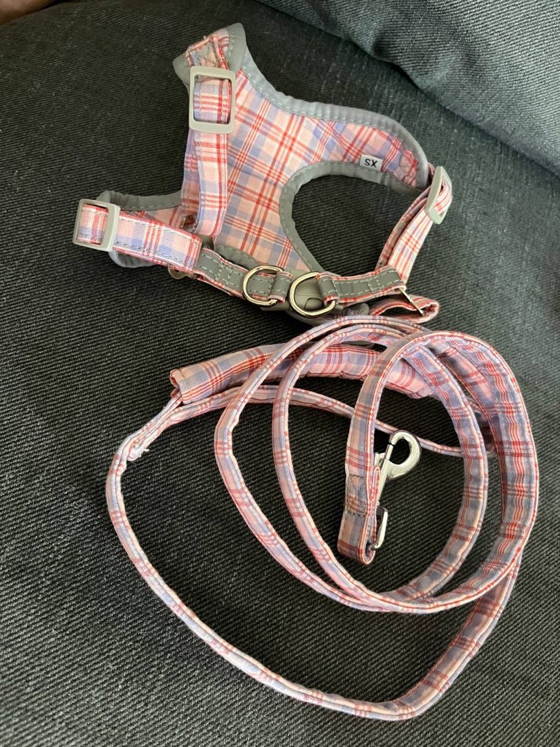 Brand New Dog Leash and Harness, Pet Supplies, Homes & Other Pet