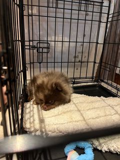 (Category: ) located in . Submitted by acc.makingcents (Listing ID 1200836202, Image 1). Description: .