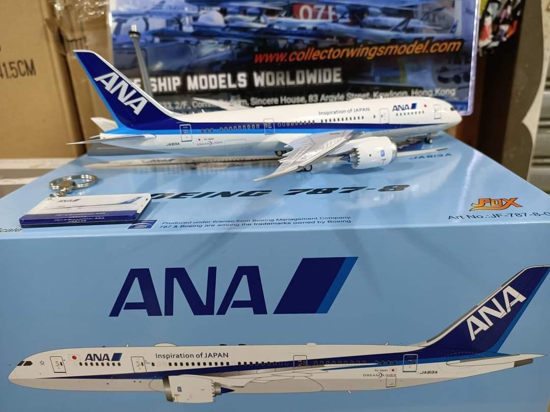 ANA 全日空 ボーイング787-8 787特別塗装 - 航空機
